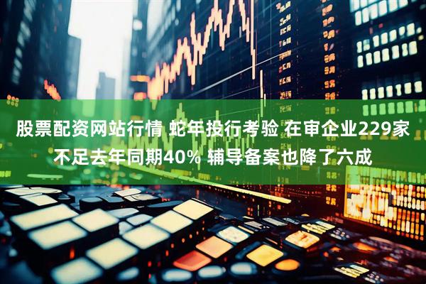 股票配资网站行情 蛇年投行考验 在审企业229家不足去年同期40% 辅导备案也降了六成