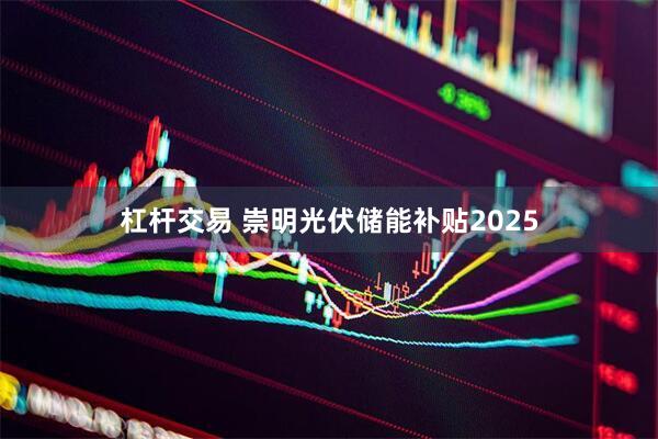 杠杆交易 崇明光伏储能补贴2025