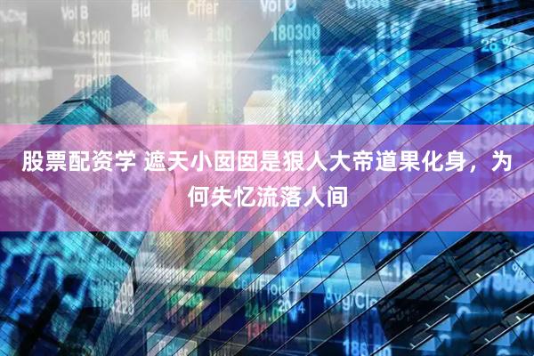 股票配资学 遮天小囡囡是狠人大帝道果化身，为何失忆流落人间